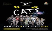 Cannobio
Musical Cats