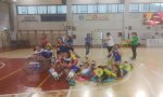 Verbania
Vega Occhiali Rosaltiora: under 13 campionesse regionali