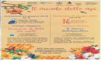 Cannero Riviera
"Alla scoperta delle api"
