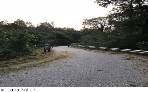 Cossogno
Cossogno: volontari puliscono le strade Cossogno
Cossogno: volontari puliscono le strade