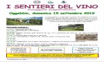 Oggebbio
"I sentieri del Vino" 2019