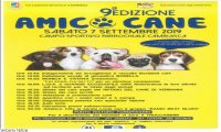 Cambiasca
Amico Cane 2019: i numeri vincenti