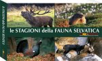 Verbania
Piano di gestione della Fauna Selvatica