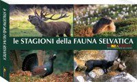 Verbania
Piano di gestione della Fauna Selvatica