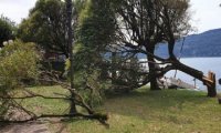 Verbania
Valutazione di stabilità delle alberature cittadine