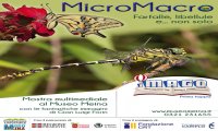 Fuori Provincia
“MicroMacro”