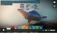 Fuori Provincia
Cortometraggio MAB Ticino Val Grande Verbano - VIDEO