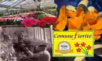 Verbania
Festa dei Floricoltori Piemontesi