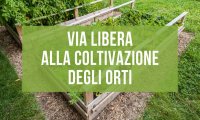 Fuori Provincia
Consentita la cura degli orti