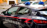 Verbania
Arresti per spaccio e maltrattamento animali