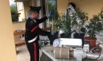 Piedimulera
Trovata altra coltivazione casalinga di Marijuana