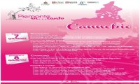 Cannobio
"Piemonte In... Canto" due concerti