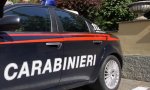 Gravellona Toce
Interventi dei Carabinieri