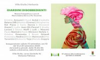 Verbania
Giardini disobbedienti