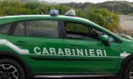 Verbania
Parco Val Grande molti sentieri danneggiati dall'alluvione