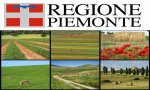Fuori Provincia
Agricoltura Piemonte: 113 milioni