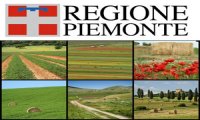 Fuori Provincia
Agricoltura Piemonte: 113 milioni