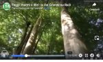 Verbania
Il Parco Val Grande torna su Rai3 - VIDEO