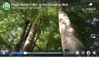 Verbania
Il Parco Val Grande torna su Rai3 - VIDEO