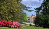 Stresa
Villa e Parco Pallavicino diventano proprietà dei Borromeo