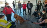 Fuori Provincia
Cani Anti-Covid, progetto pilota