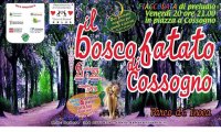 Verbania
Bosco Fatato di Cossogno 2014