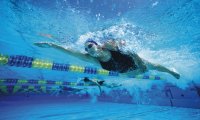 Fuori Provincia
Nuoto: Phoenix riprende dopo mesi