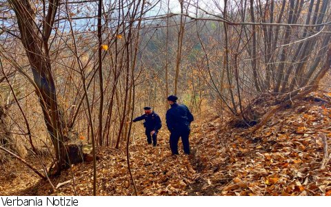 Gignese
Tenta di darsi fuoco, salvato dai Carabinieri