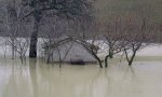 Fuori Provincia
Piemonte: alluvione 7,5milioni di fondi