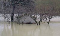 Fuori Provincia
Piemonte: alluvione 7,5milioni di fondi