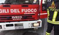 Verbania
Vigili del Fuoco salvano cane