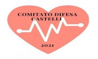 Verbania
Comitato difesa Castelli 2021: "È questa la democrazia?"