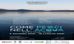 Omegna
Mostra: "Come pesci nell'acqua"