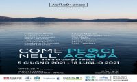Omegna
Mostra: "Come pesci nell'acqua"