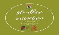 Verbania
"Gli Alberi Raccontano"