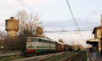 Belgirate
Albero sulla linea ferroviaria del sempione