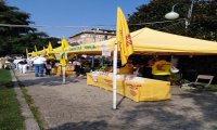 Verbania
Successo per il mercato di Campagna Amica a Verbania