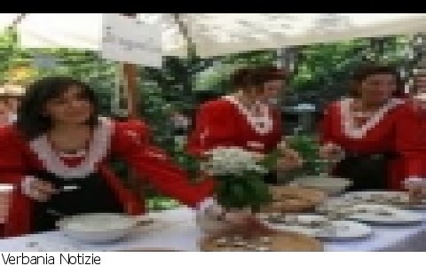 Ornavasso
"La vita tra Leponti e Walser" 10^ edizione