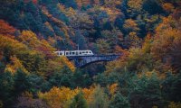 Santa Maria Maggiore
Torna il Treno del Foliage 