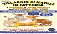 Verbania
Villaggio di Natale in Fattoria 2021