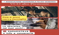 Verbania
ScodinzolaFelice: diamo una zampa a Zoe