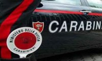 Verbania
I Carabinieri donano 90 alberi al Mottarone