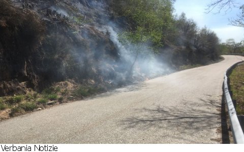 Cossogno
Ancora al lavoro all'incendio sulle alture di Ompio - Video