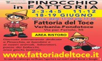 Verbania
Pinocchio in Fattoria 2022