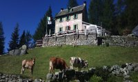 Macugnaga
Riaprono i rifugi delle montagne dell’Ossola
