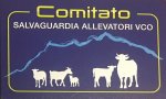 Verbania
"Falò ammonitori e di solidarietà"