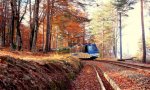 Santa Maria Maggiore
Torna il Treno del Foliage