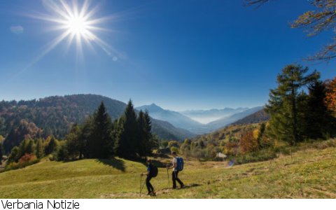 Craveggia
Annullato il concerto della Banda Osiris per Musica in Quota