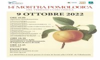 Villadossola
XIV mostra pomologica del VCO