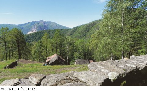 Domodossola
Escursione guidata parco Val Grande